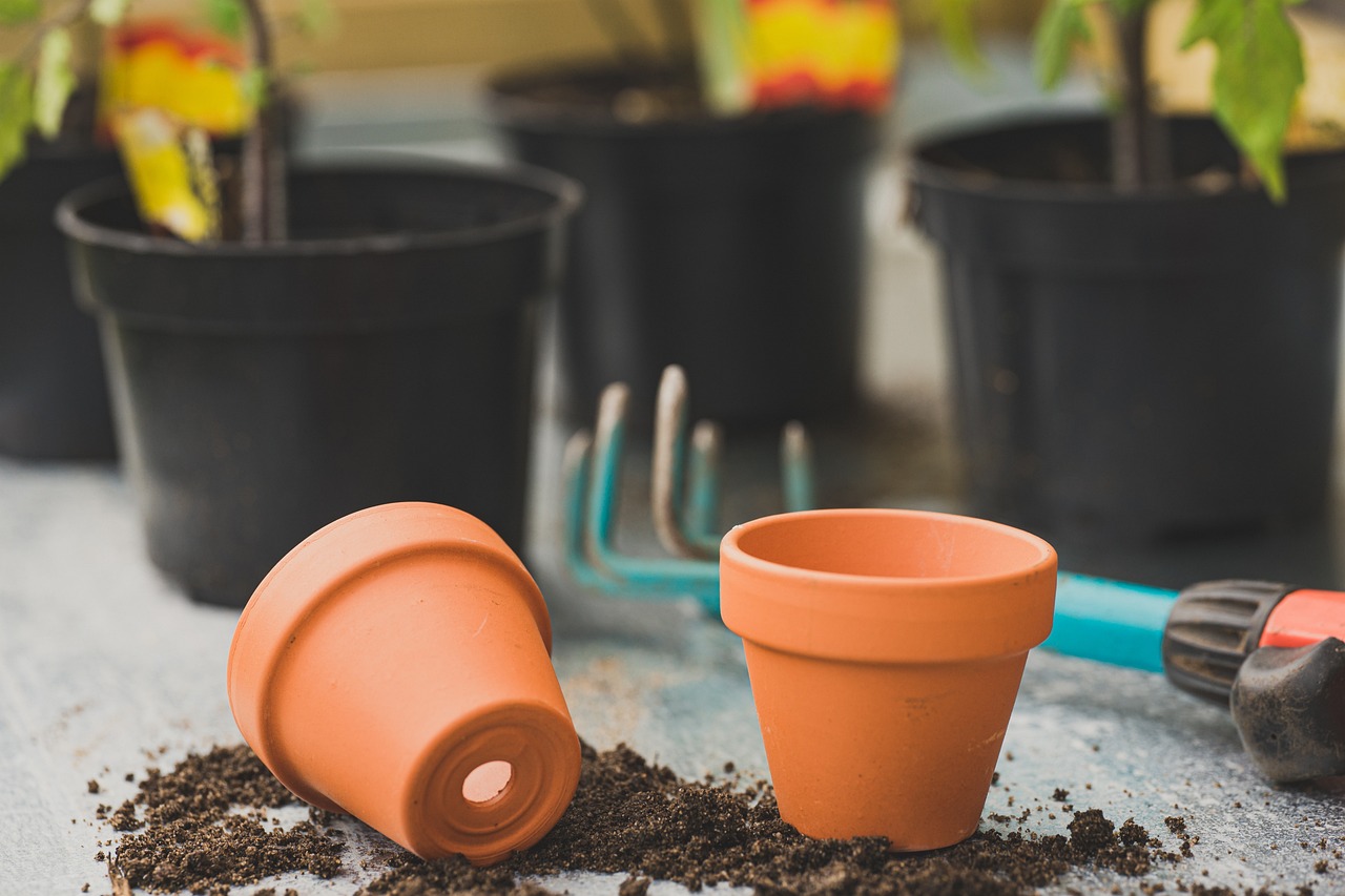 How Gardening Can Help Combat Climate Change?
